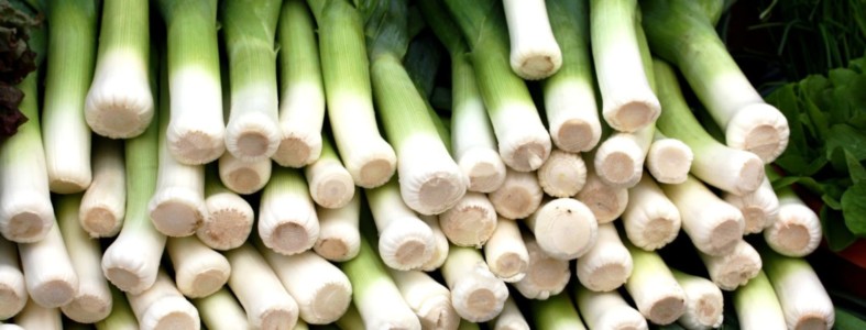 Ernährung im Herbst – mit Porree-Pizza-Rezept porrey